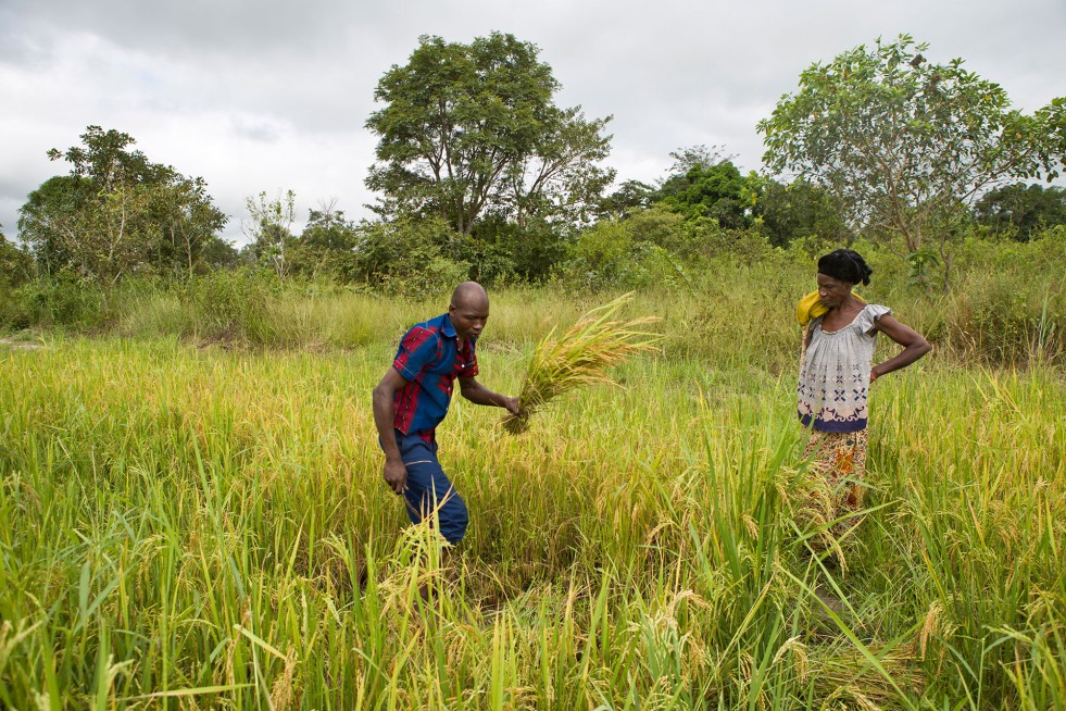 Adama helps his mother in the fields. To make ends meet, he also repairs motorcycles. 