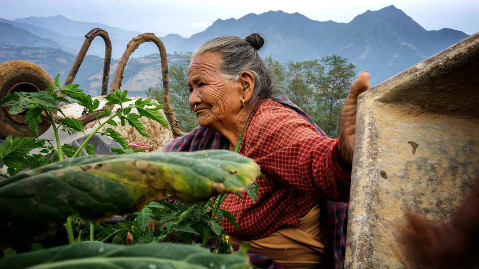 Antari Maya Jimba, 81, sits in her family's fields in Jhankridanda, Nepal.