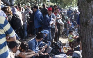 Tired refugees fleeing war in Syria and elsewhere at the Croatian government transit centre in Opatovac near border with Serbia.