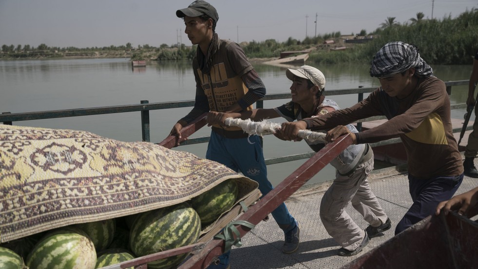 Young Iraqis transport melons across the Euphrates River at Bzeibiz.