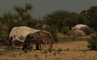 Camp near village of Baga Sola, on eastern shore of Lake Chad, for people displaced by Boko Haram activity and the Chadian army's policy of clearing the islands of Lake Chad pending military activity.