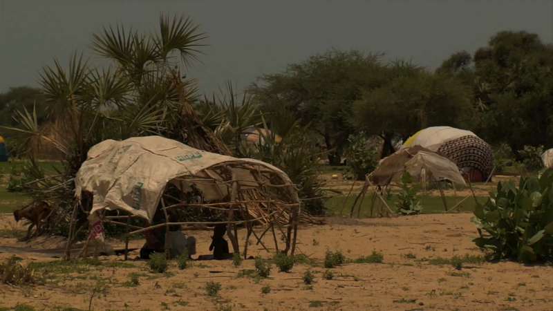 Camp near village of Baga Sola, on eastern shore of Lake Chad, for people displaced by Boko Haram activity and the Chadian army's policy of clearing the islands of Lake Chad pending military activity.