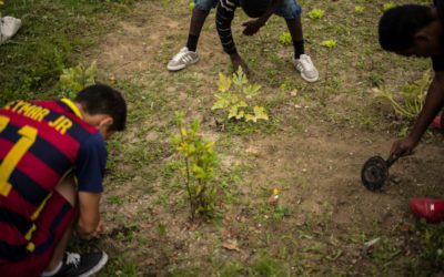 Children in Calais in a world away from home