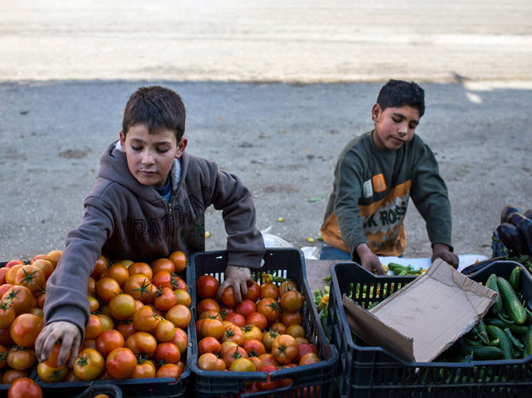 Syrian refugees Talal Louai, 11, and Anaz Ezza, 12, sort vegetables at a grovery store in Bebnine, Lebanon. Some 80% of Syrian children are not in school and many, especially boys, must take jobs to provide for their families.