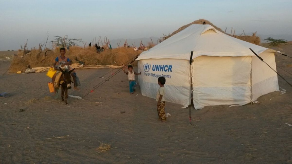 As fighting spreads in Yemen in February 2017, a recently displaced family receives UNHCR assistance, a tent to live in, in the coastal governate of Al Hudaydah. Some 34,000 people fled their homes in Al Mokha and Dhubab districts as the conflict intensified. © UNHCR/N Al Sharafi
