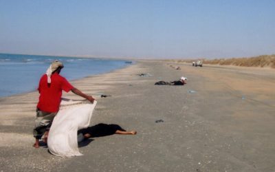 Insecurity in Yemen threatens incoming refugees