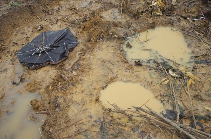 Des grandes empreintes de pas signalent l’endroit où un éléphant sauvage a tué un Rohingua et son fils. © HCR/Keane Shum
