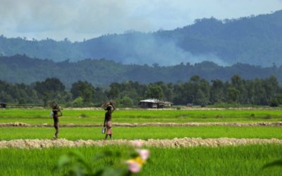 UNHCR readies aid amid Rohingya refugee surge in Bangladesh