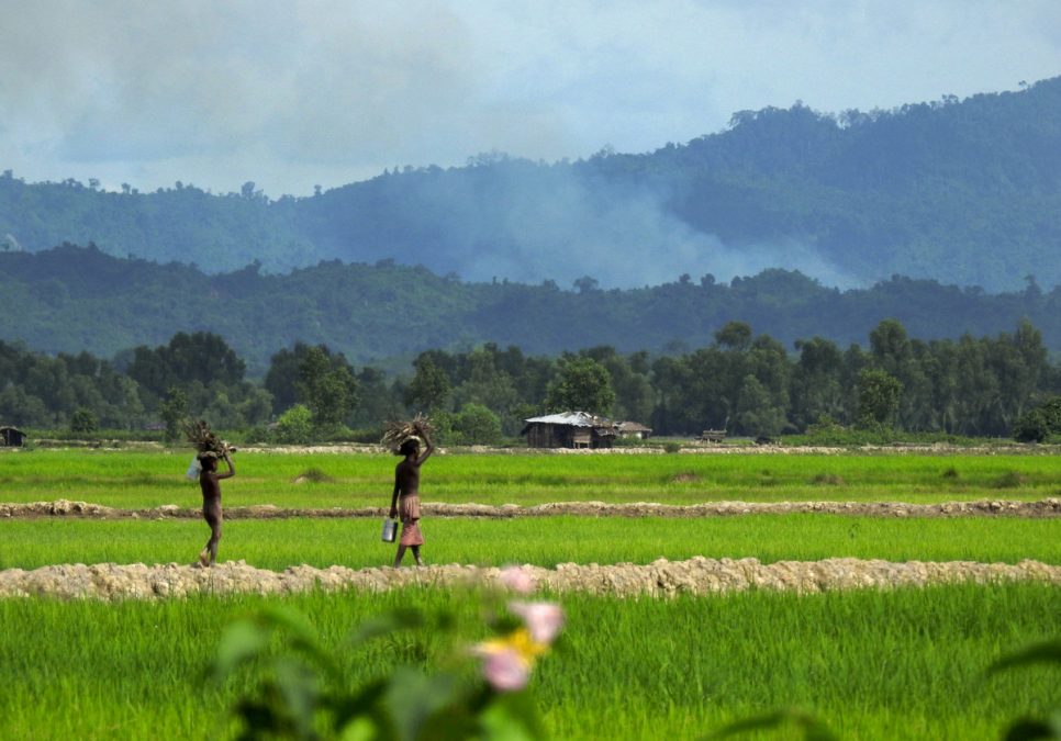 UNHCR readies aid amid Rohingya refugee surge in Bangladesh