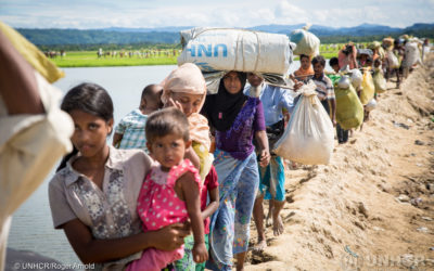 100 Days of the Rohingya Crisis