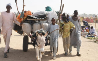 an donkey pulls a cart full of people's belongings while a group of four men walk on either side of the cart along a dirt road