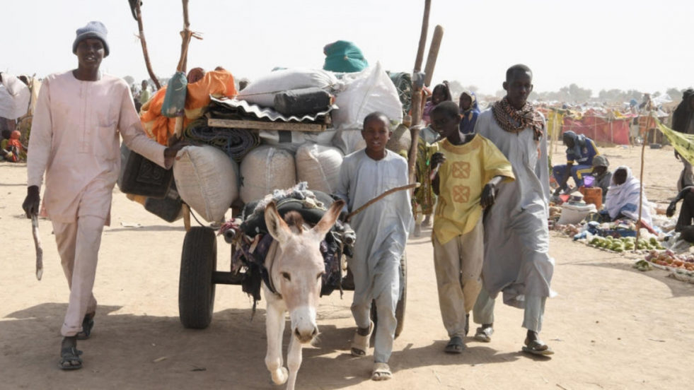 an donkey pulls a cart full of people's belongings while a group of four men walk on either side of the cart along a dirt road