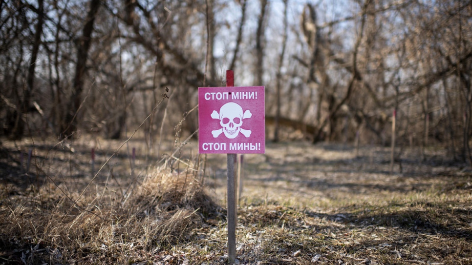 UNHCR says Ukraine landmine risk needs urgent action