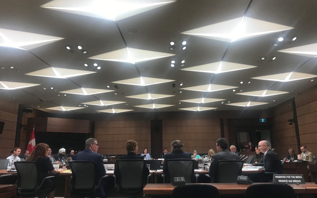 UNHCR’s Statement to the Committee on Citizenship and Immigration – 7 May 2019