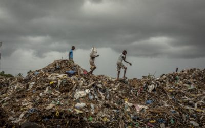 Eight refugees fighting for the planet