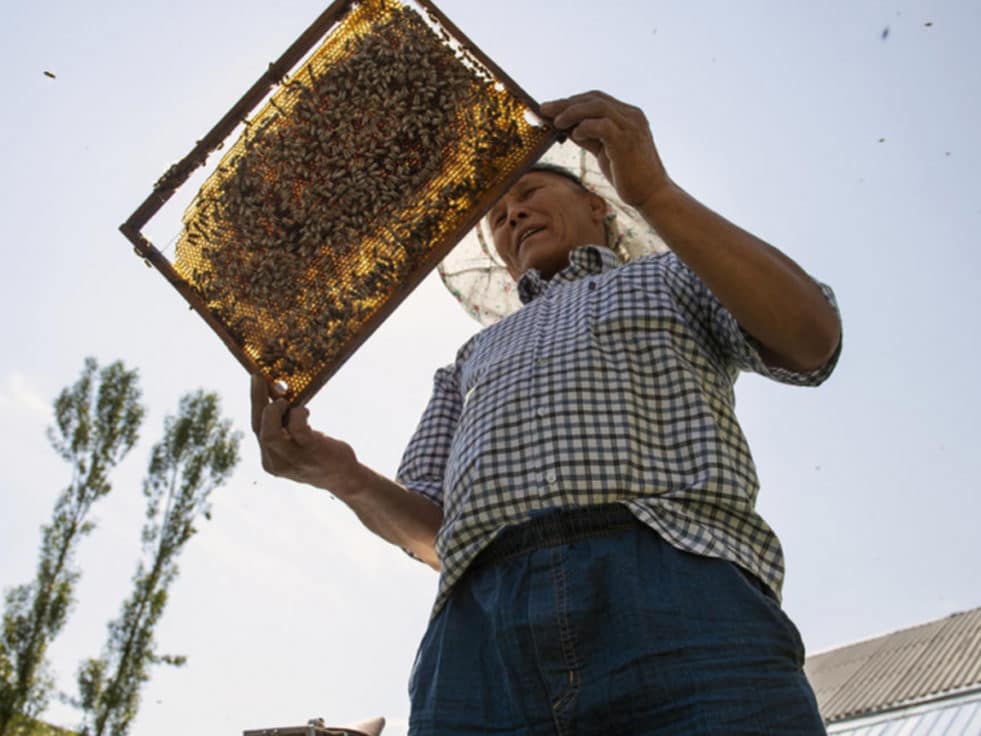 A formerly stateless beekeeper holds a beehive 