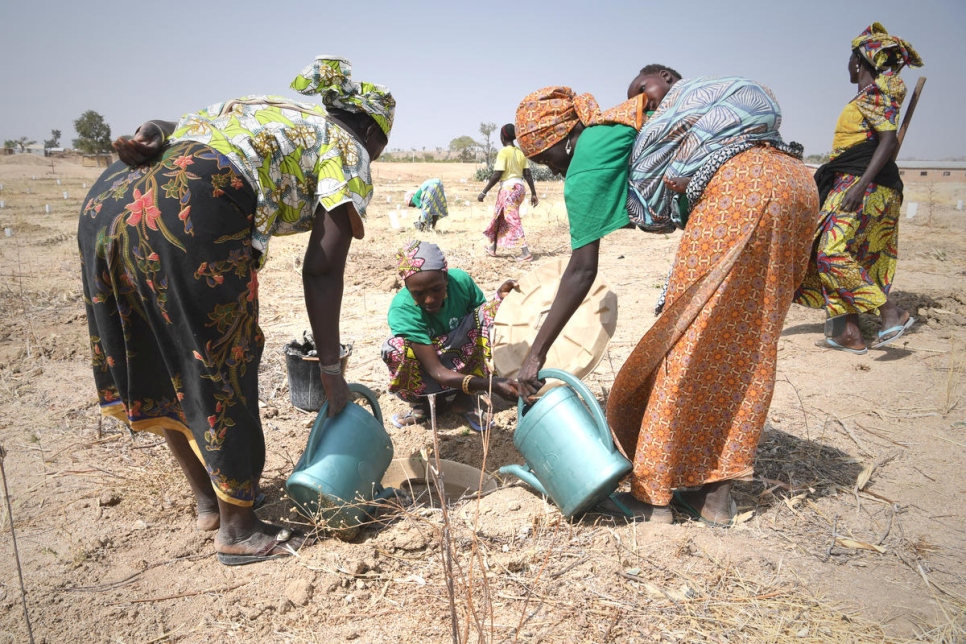 Women plant trees to fight climate change