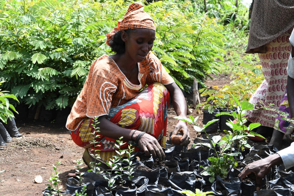A woman tends to tree saplings to fight climate change