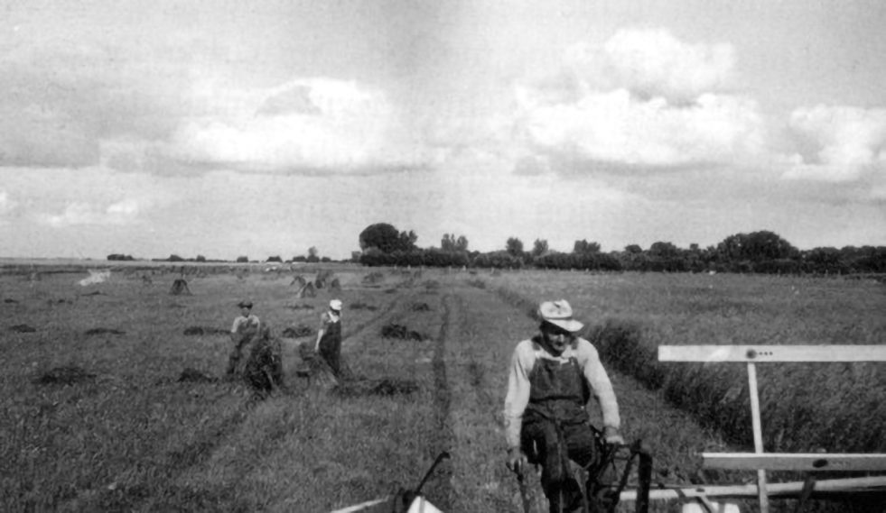 Black and white photo of people in a wheat field in Canada