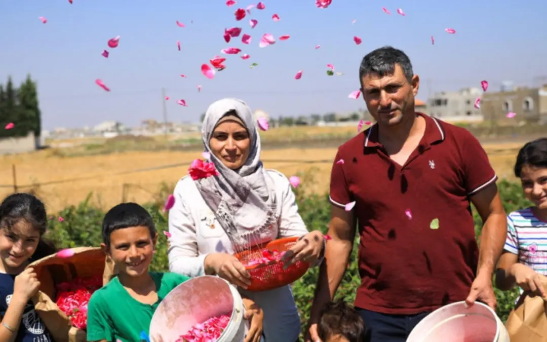La nouvelle vie d’un talentueux producteur de roses au Liban