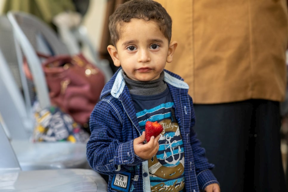 A young boy eats a strawberry