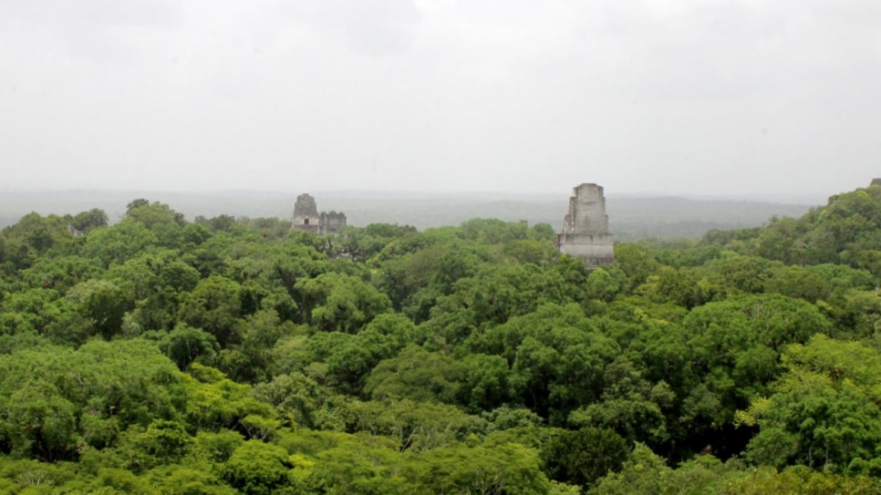 Ancient Mayan ruins emerge from the rainforest in Tikal National Park, Guatemala, July 2018