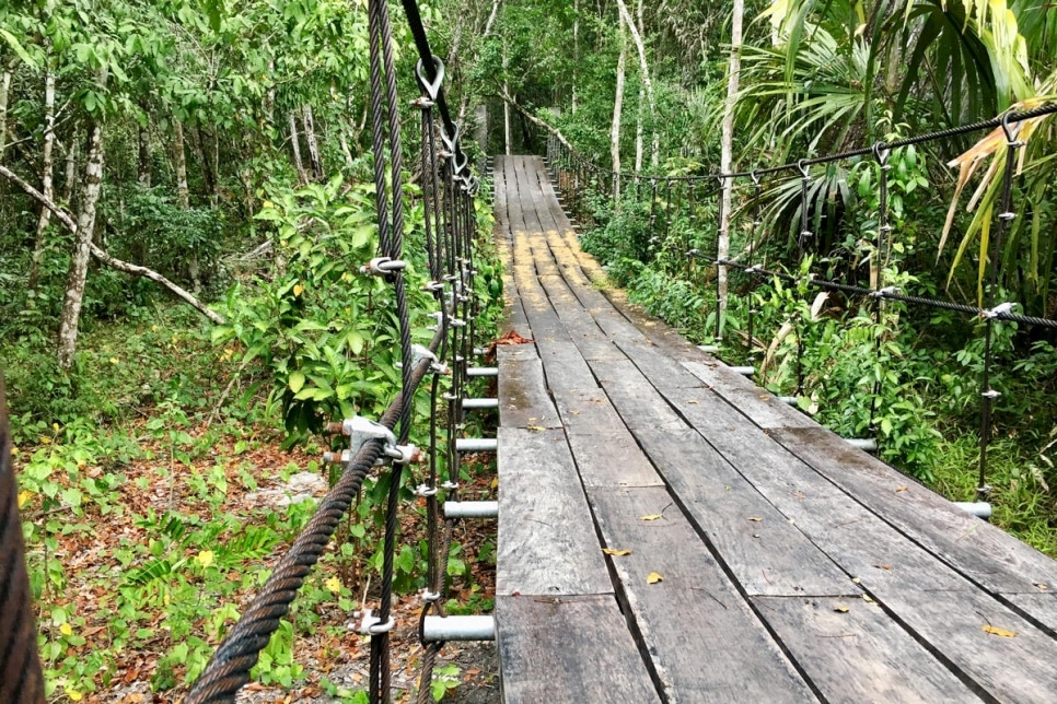 Un pont suspendu enjambe un ravin, dans le parc national El Mirador au Guatemala, où des demandeurs d’asile travaillent en tant que gardes forestiers