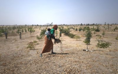 HCR – Aidez-nous à protéger l’environnement pour protéger les réfugiés