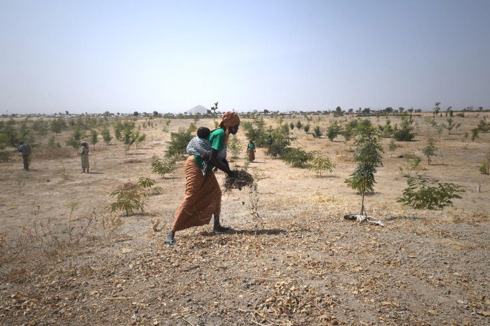 HCR – Aidez-nous à protéger l’environnement pour protéger les réfugiés