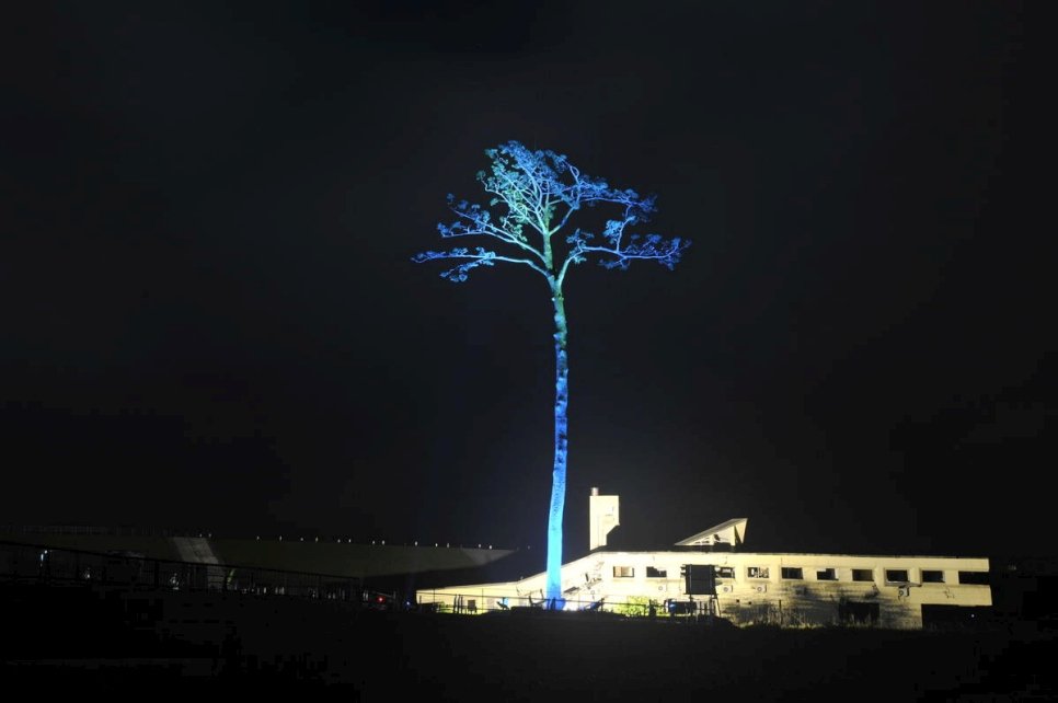 La ville de Rikuzentakata illumine le sapin miracle de la couleur bleue des Nations Unies pour célébrer la Journée mondiale du réfugié