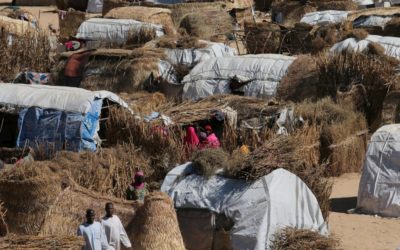 Un incendie dans un camp au nord-est du Nigéria fait deux morts et des milliers de sans-abri