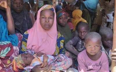 Fleeing bandit attacks, Nigerian villagers seek safety in Niger