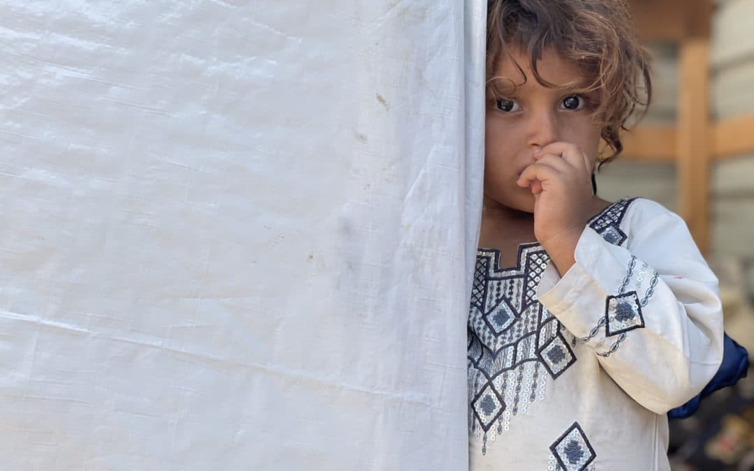 Le Yémen menacé par la famine : risque croissant d’insécurité alimentaire