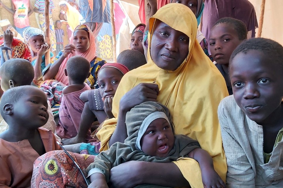 Surging violence in Nigeria drives displacement to Niger