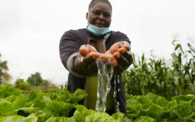Better access to water improves lives for refugees and their hosts in Zimbabwe camp