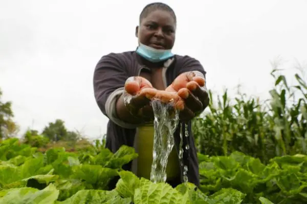 Congolese refugee Josephine Mbayo waters plants.