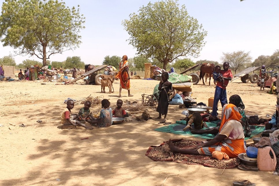 Des réfugiés ayant fui les récentes violences dans la région du Darfour au Soudan sont assis à l’ombre sous des arbres, près de la ville d’Adré au Tchad. 