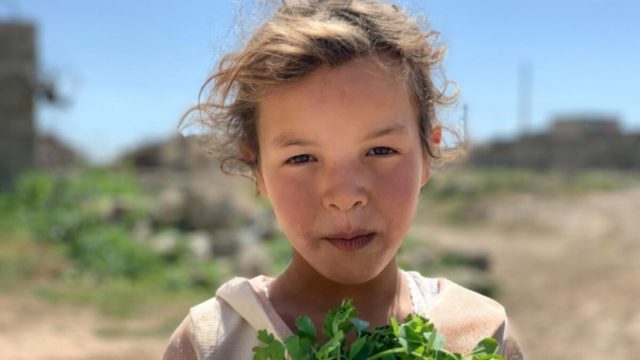 A young girl carries a bunch of coriander.