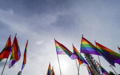 Global Roundtable charts joint action for protection of forcibly displaced LGBTIQ+ people