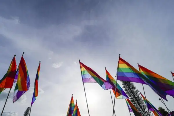 pride flags