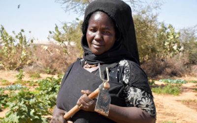 Réfugiés et Mauritaniens partagent leurs stratégies d’adaptation au changement climatique.