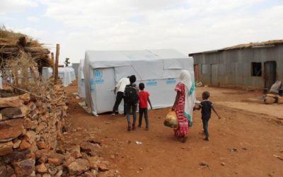Déclaration du Haut Commissaire des Nations Unies pour les réfugiés, Filippo Grandi, sur la situation des réfugiés érythréens dans la région du Tigré en Éthiopie