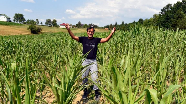 Adel stands in a field of crops he planted at his farm