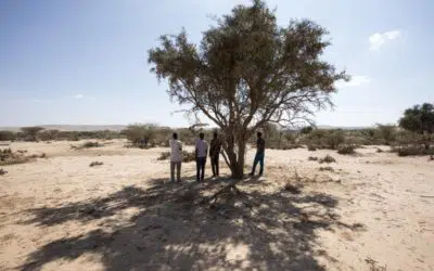 UNHCR warns of critical protection gaps for people on the move in the Sahel and East Africa