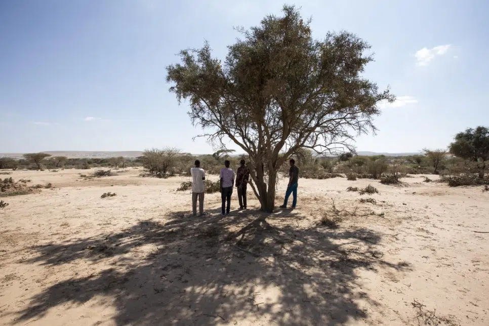 UNHCR warns of critical protection gaps for people on the move in the Sahel and East Africa