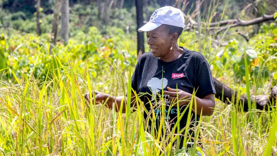 Woman in a rice field.