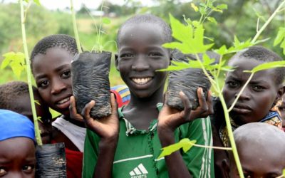 Refugees in Cameroon help build ‘Great Green Wall’ to combat desertification