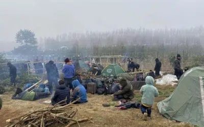 IOM, UNHCR provide emergency aid to asylum-seekers and migrants at the Belarus-Poland border, call to ensure well-being of people and prevent loss of life