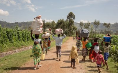 UNHCR report charts progress against Global Compact on Refugees