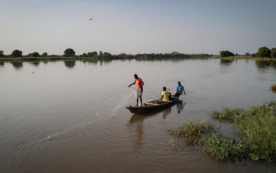 La baisse de la pluviométrie dans le nord du Cameroun provoque conflits et déplacements de population